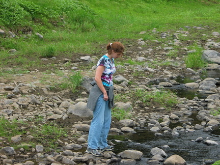 Sara forging last creek