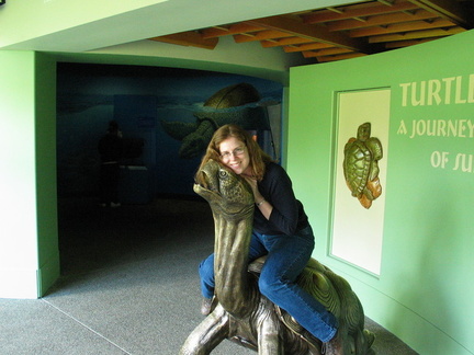 Sara likes turtles :-)