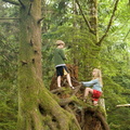 Tree stump - Kindra and Kilian