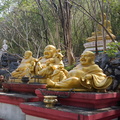 Happy Buddhas...