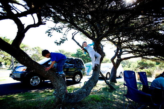 "Ma' there's monkeys in our tree!"