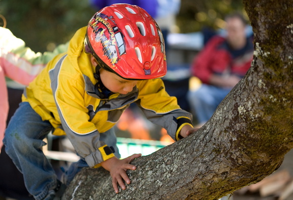This little monkey also climbed a tree