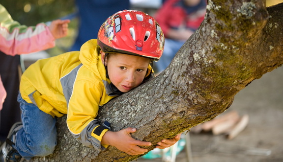 This little monkey got scared