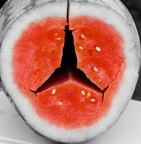 Mmmmmmm.... Watermelon....
