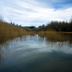 Feburary Park Walk