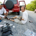 Zoologists tagging iguanas
