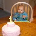 Holly's first birthday cake!