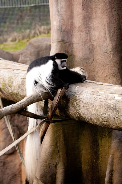 100228_Zoo_036.jpg