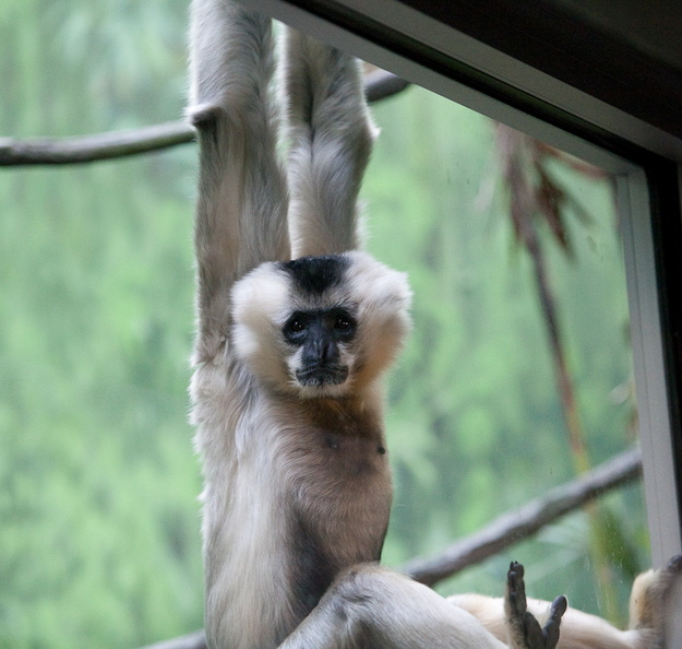 100228_Zoo_217.jpg