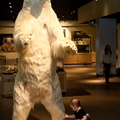 Polar Bear!