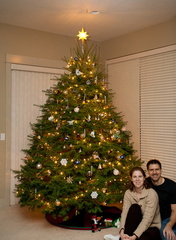 Our tree