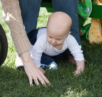 120414 TulipFarm 180