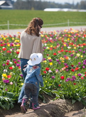 120414 TulipFarm 281