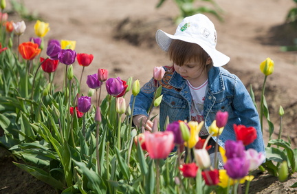 120414 TulipFarm 299