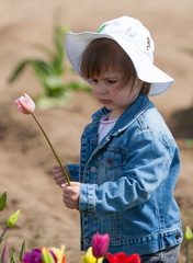 120414 TulipFarm 301