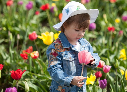 120414 TulipFarm 307