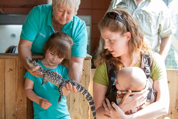 120518 Alligator 129