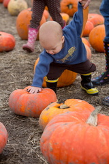 121021 PumpkinPatch 135