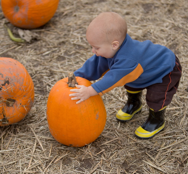 121021_PumpkinPatch_175.jpg