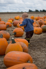 121021 PumpkinPatch 180