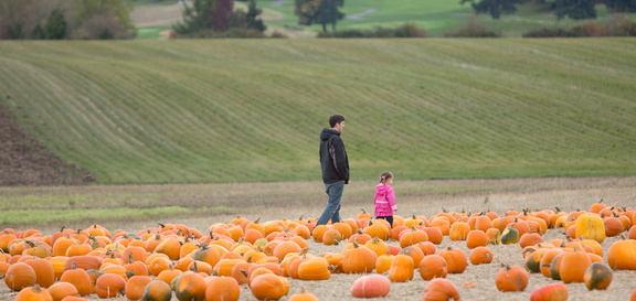 121021 PumpkinPatch 192