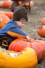 121021 PumpkinPatch 348