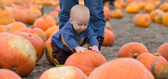 121021 PumpkinPatch 76