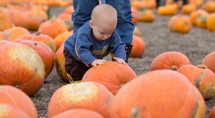 121021 PumpkinPatch 79