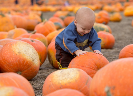 121021 PumpkinPatch 84