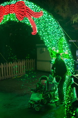 121220 ZooLights 10