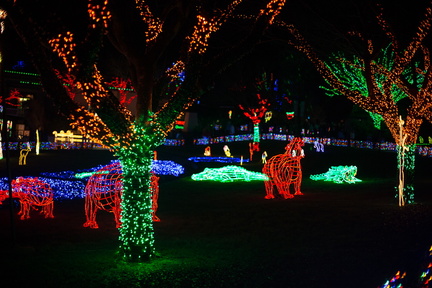 121220 ZooLights 165