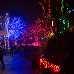 121211ZooLights