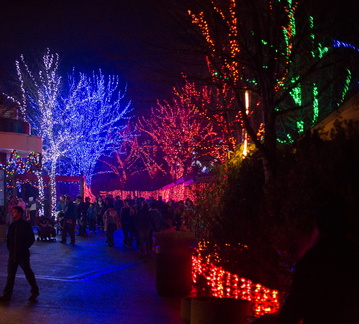 121220 ZooLights 215