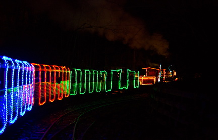 121220 ZooLights 31