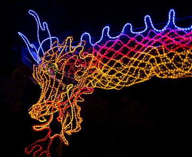 121220 ZooLights 53