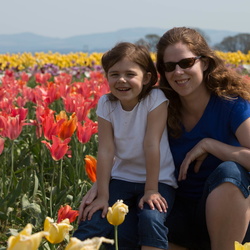 150419 TulipFields