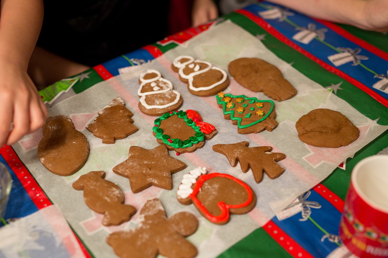 161203_CookieParty_193.jpg