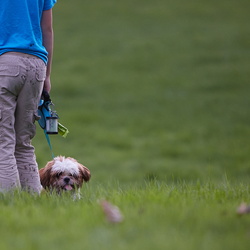 200919_Walk