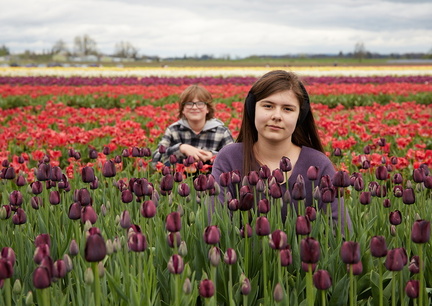 230430 TulipFields 088