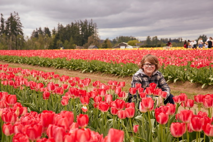 230430 TulipFields 133