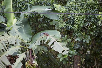 240723 CostaRica 0034