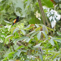 San Jose and La Fortuna