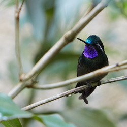 240722_CostaRica