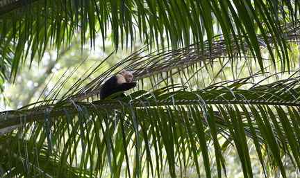 240803 CostaRica 0986