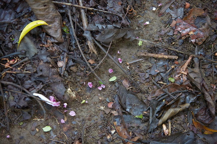 240803 CostaRica 1101