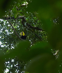 240803 CostaRica 1145