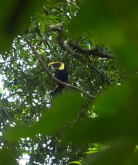 240803 CostaRica 1183