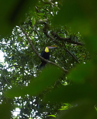 240803 CostaRica 1192