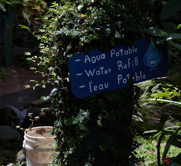 240803 CostaRica 1229