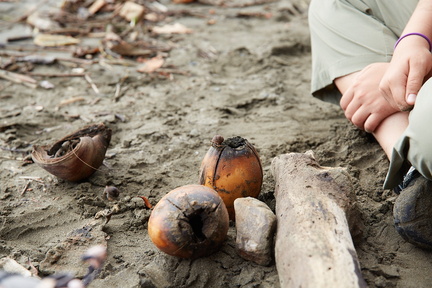240803 CostaRica 1300
